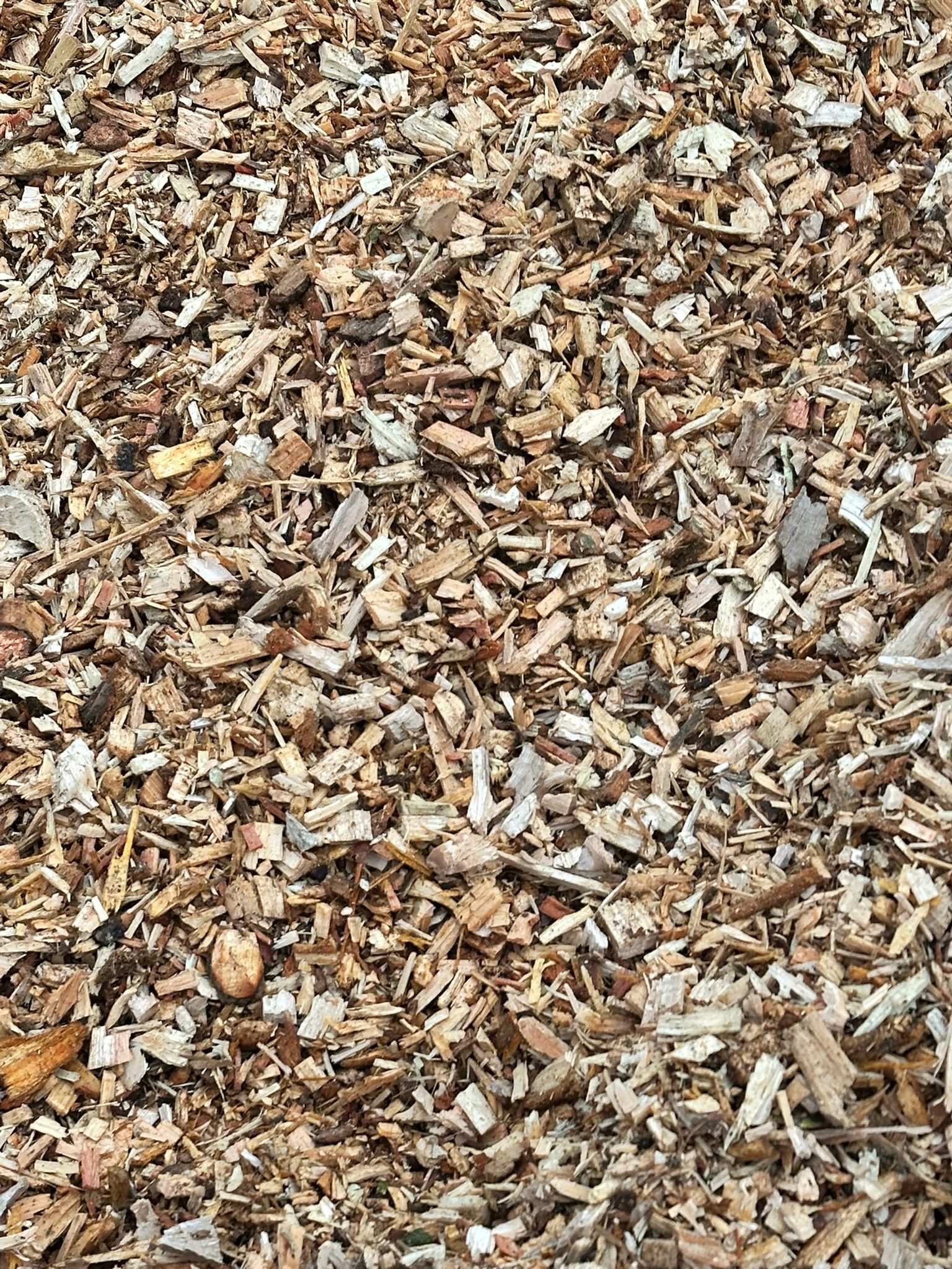 Close-up of clean logchip wood chippings