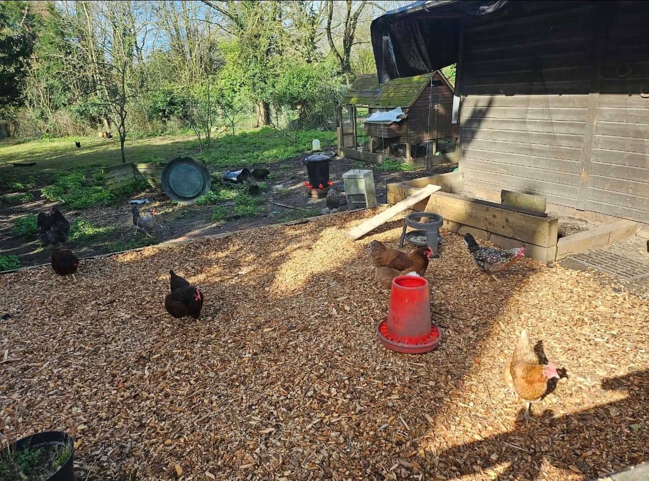 Yard operations and timber